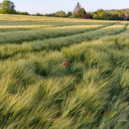 Rue Haute By M&m 4 Sterren Vlakbij Maastricht